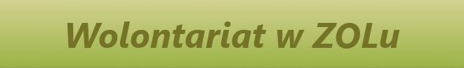 WOLONTARIAT w ZOL-u